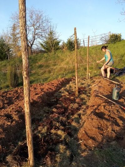 Travail de la terre