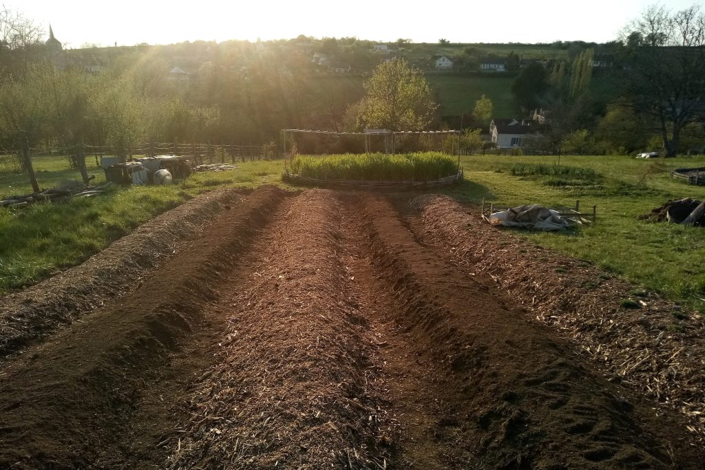 Creation de buttes