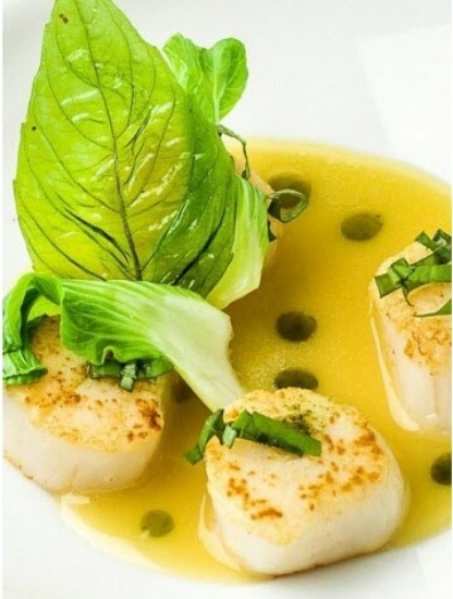 Noix de saint jacques chocolat blanc huile de basilic