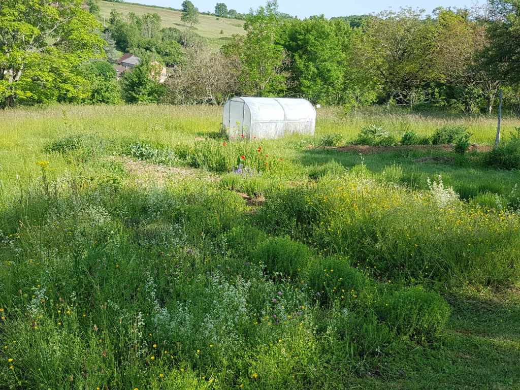 vue jardin