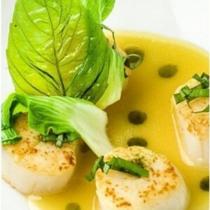 Noix de saint jacques chocolat blanc huile de basilic