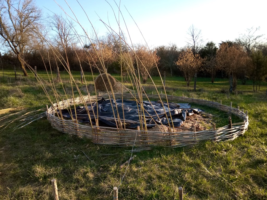 tressage bac noisetier